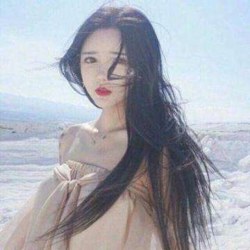 葬花游戏下载